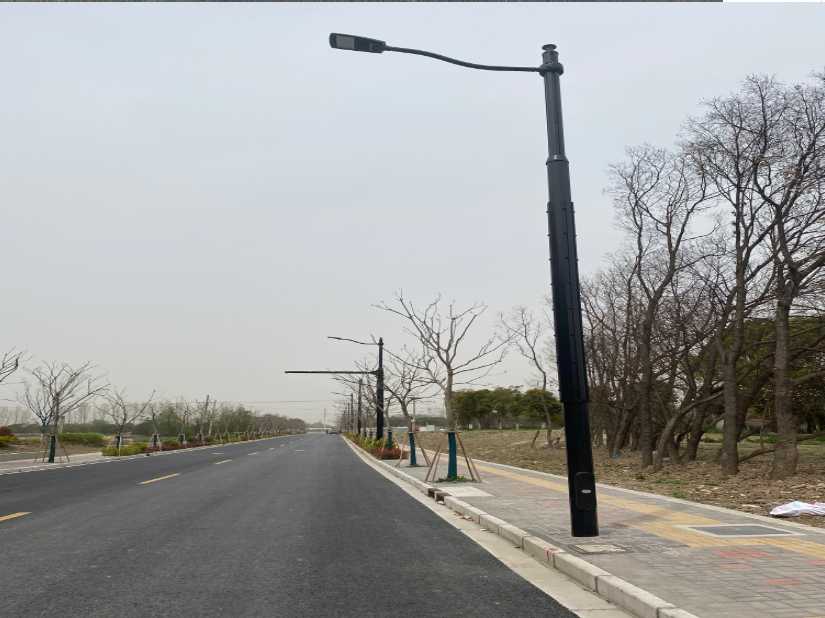丰林县上海综合杆 太阳能路灯工程